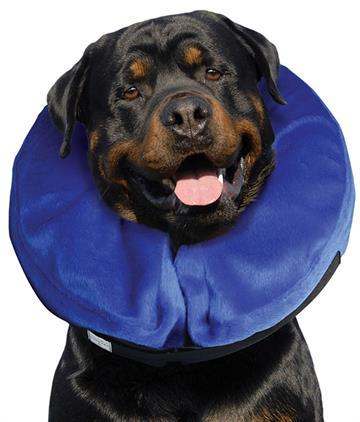 Kong Cloud Collar - Image 3